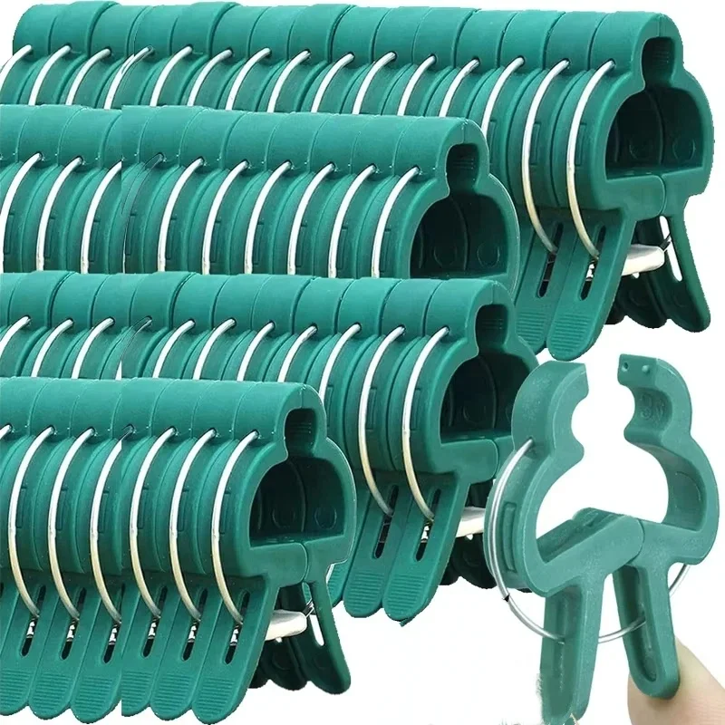 Vine Climbing Plastic - 植物固定クリップ 再利用可能なガーデン温室ブラケット 庭の植物 つる性植物クランプ 花 トマトサポートファスナー