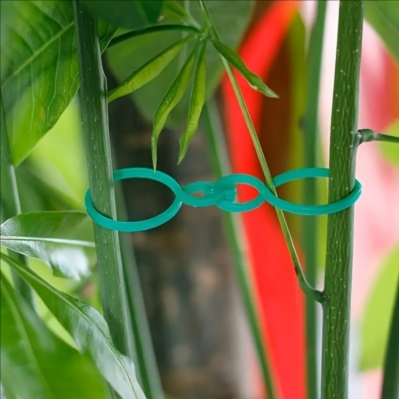 125個入り ガーデン植物サポートキット つるクリップ ツイ - Vine Climbing Plastic のレビューと価格