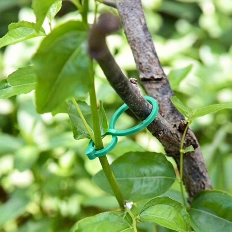 125個入り ガーデン植物サポートキット つるクリップ ツイ - Vine Climbing Plastic のレビューと価格